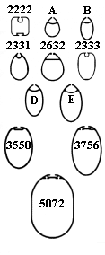 Kenyon boom sections